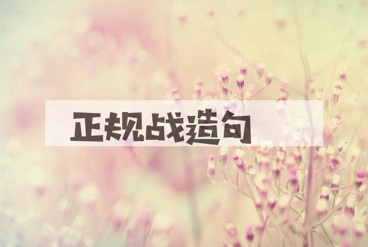 用正规战造句