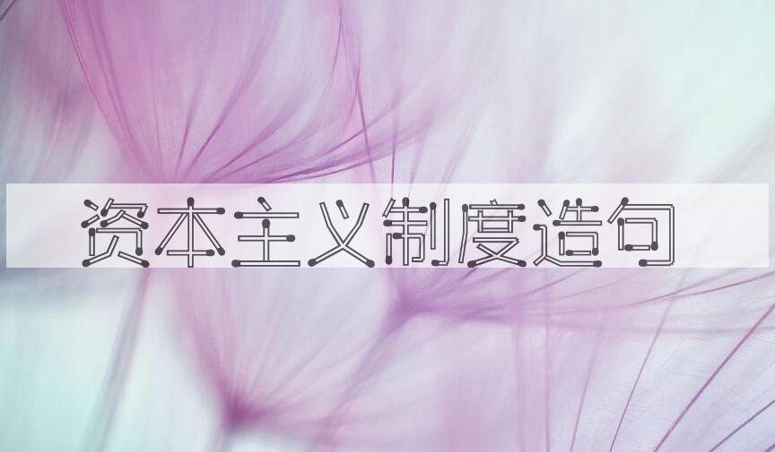 用资本主义制度造句