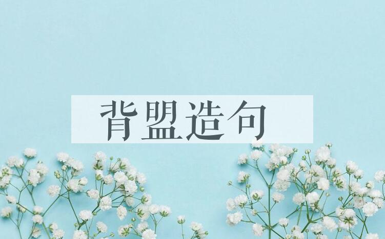 用背盟造句