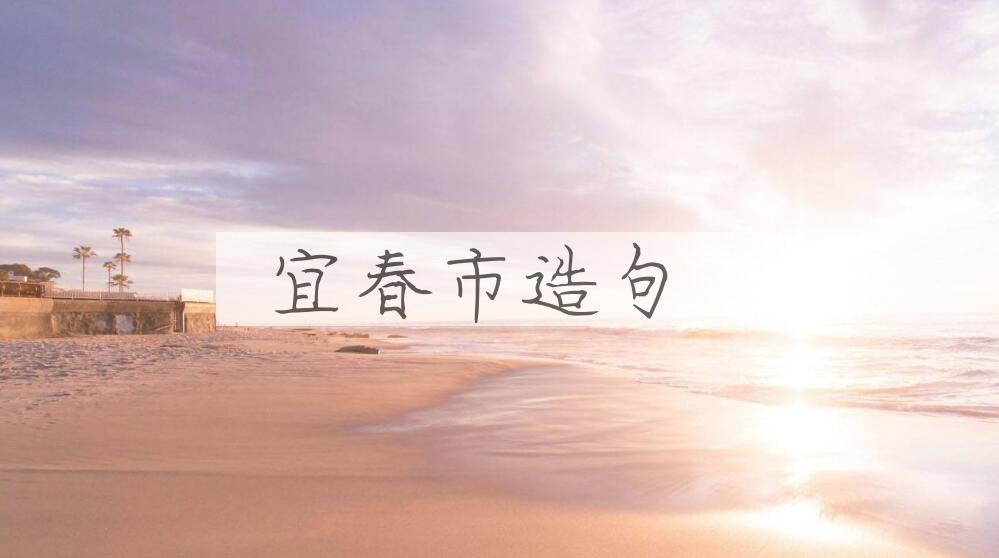 用宜春市造句