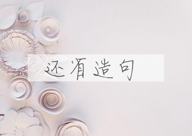 用还省造句