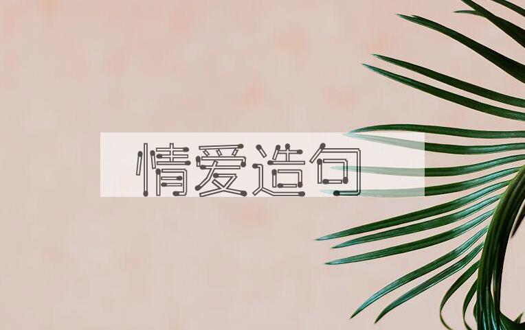用情爱造句