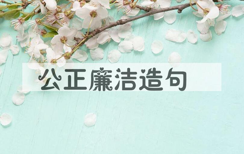 用公正廉洁造句