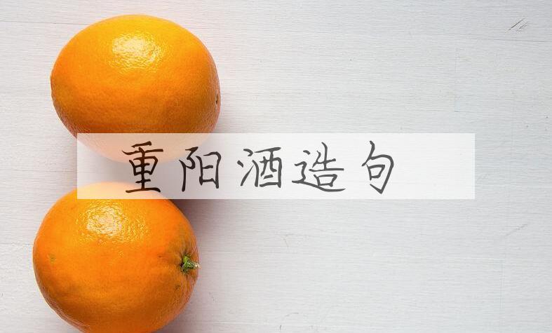 用重阳酒造句