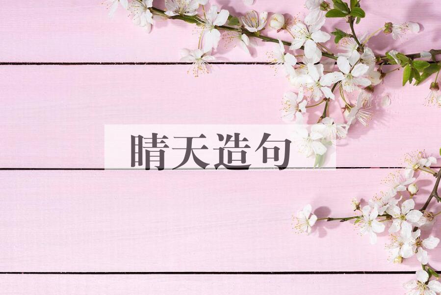 用睛天造句