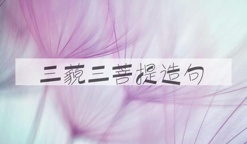 用三藐三菩提造句