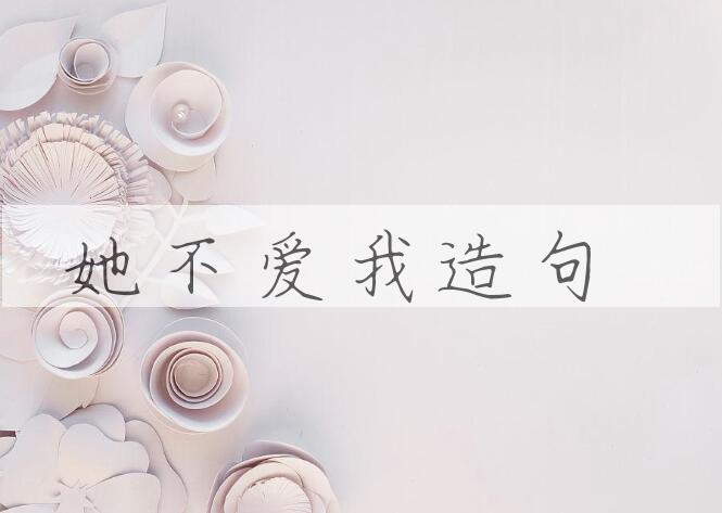 用她不爱我造句