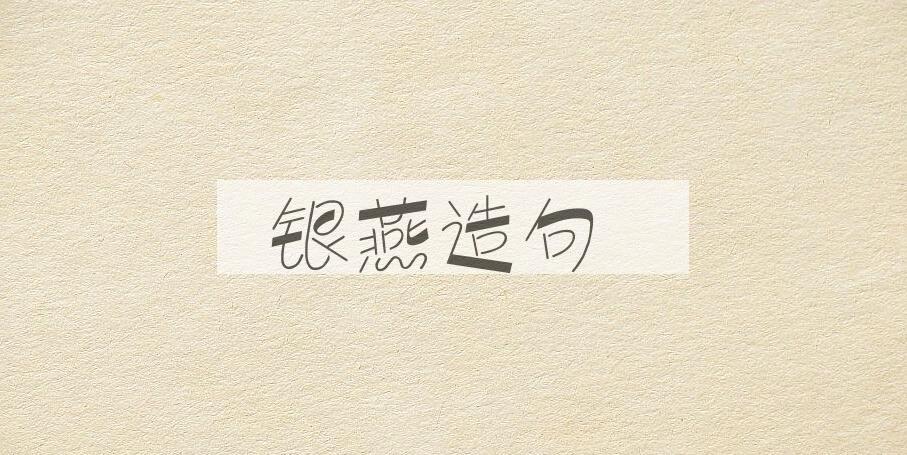 用银燕造句