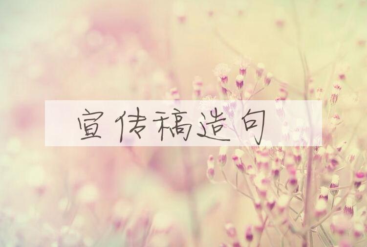 用宣传稿造句