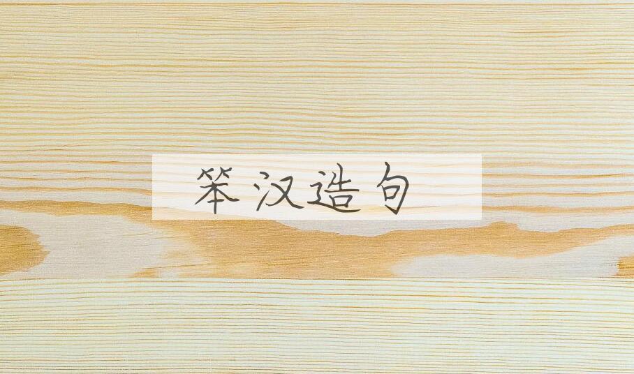 用笨汉造句