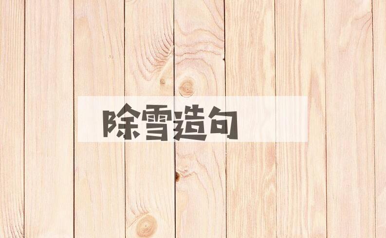 用除雪造句