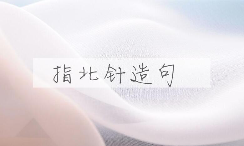 用指北针造句