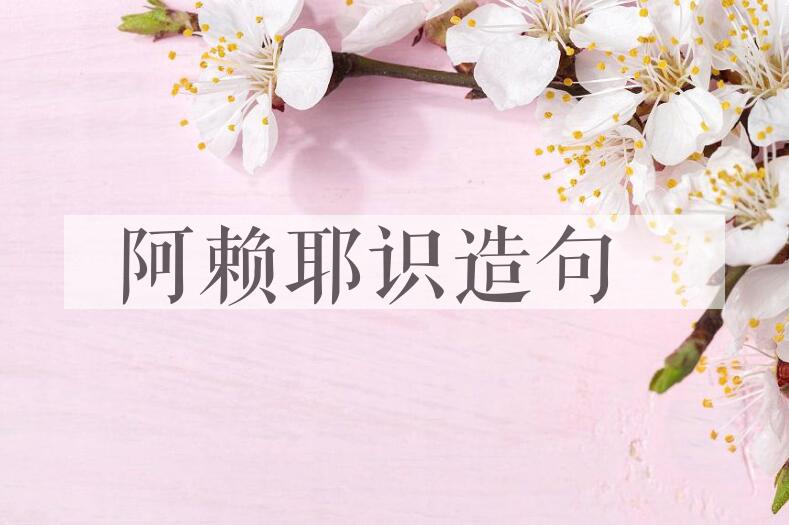 用阿赖耶识造句