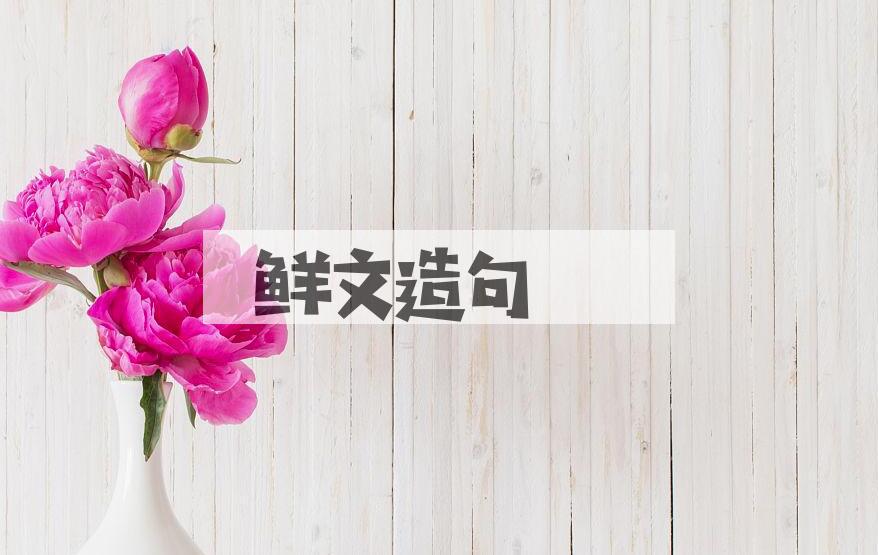 用鲜文造句
