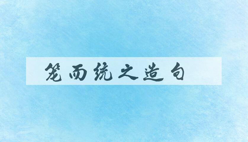 用笼而统之造句