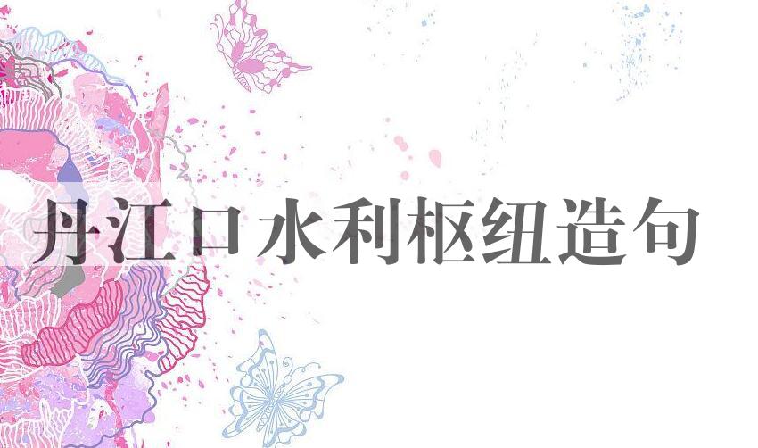 用丹江口水利枢纽造句