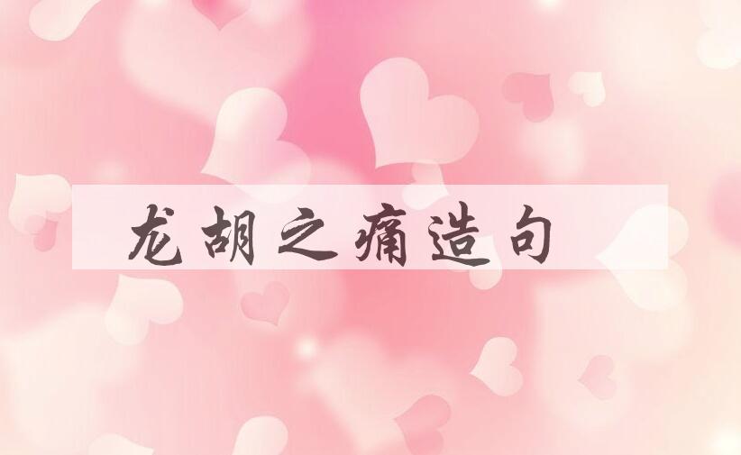 用龙胡之痛造句