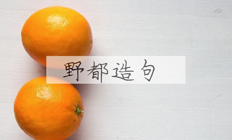 用野都造句