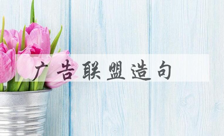 用广告联盟造句