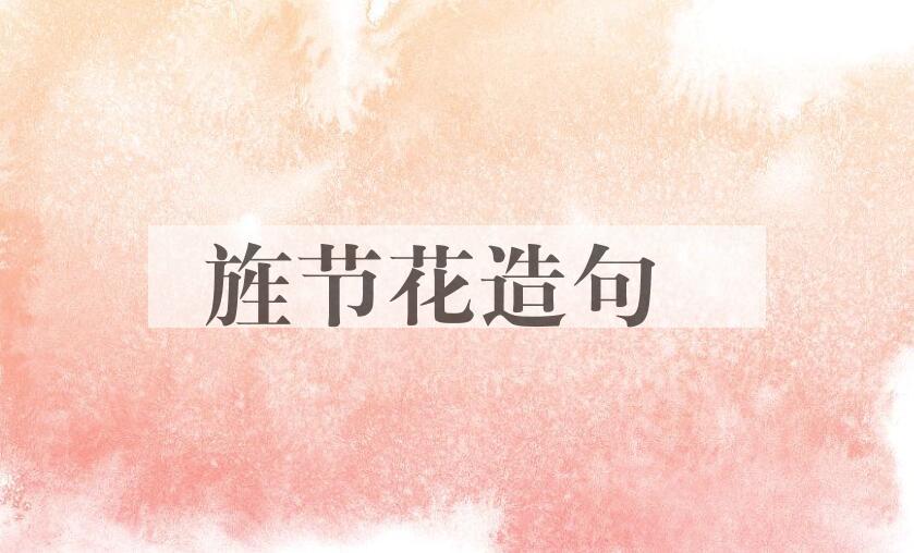 用旌节花造句