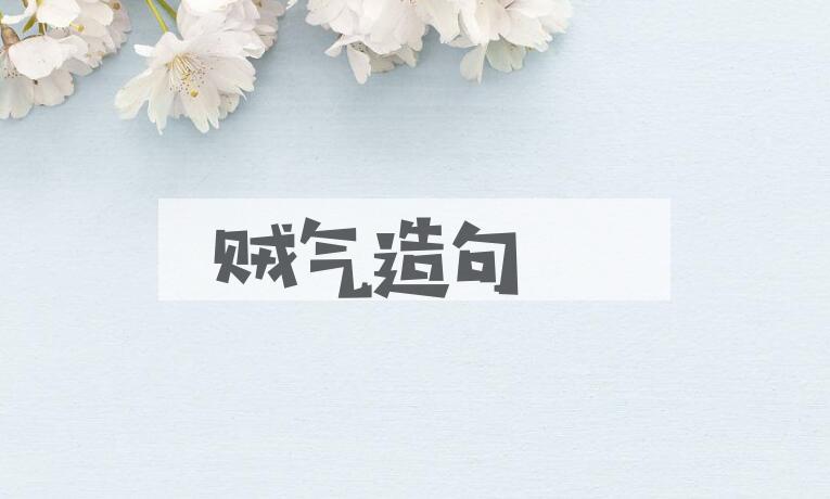 用贼气造句