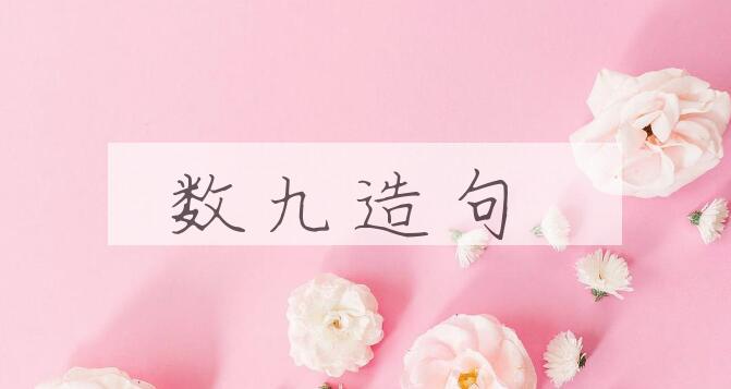 用数九造句