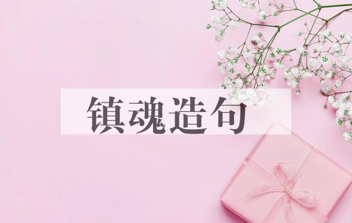 用镇魂造句