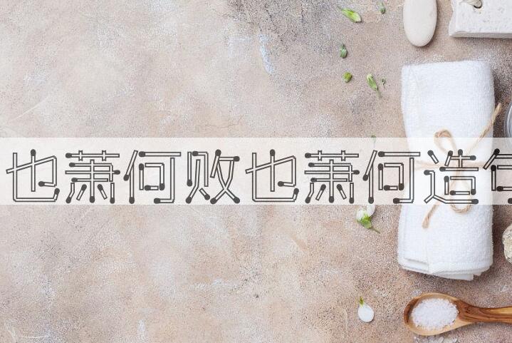用成也萧何败也萧何造句
