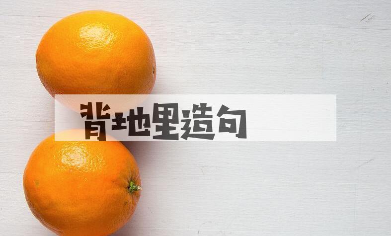 用背地里造句