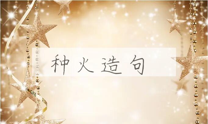 用种火造句