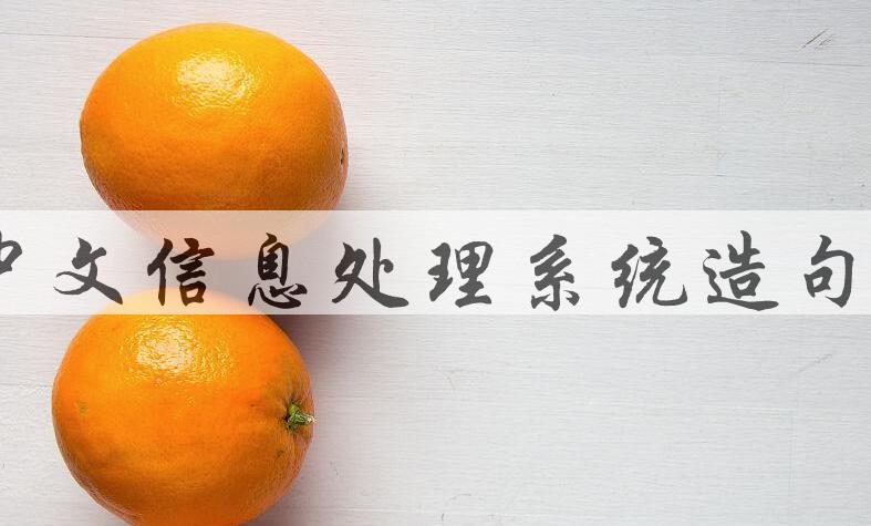 用中文信息处理系统造句