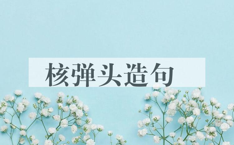 用核弹头造句