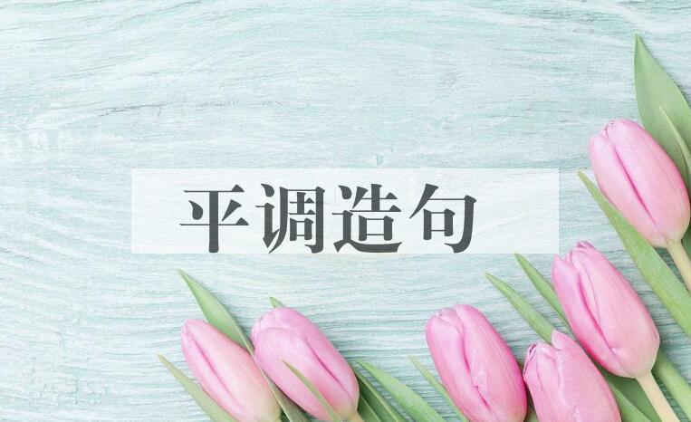 用平调造句
