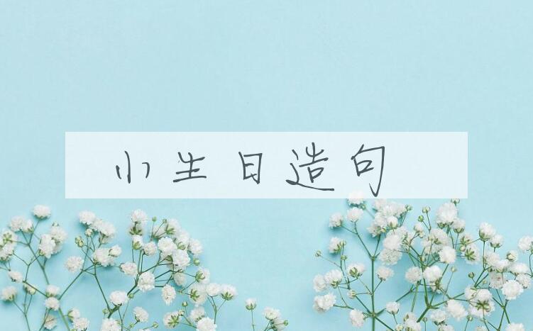 用小生日造句
