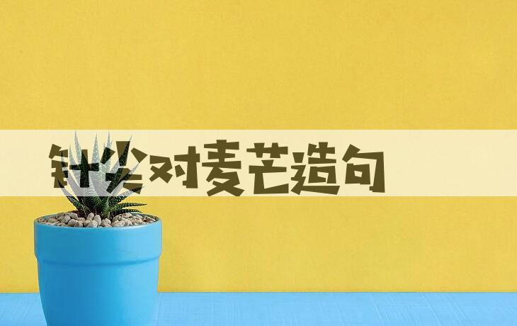 用针尖对麦芒造句