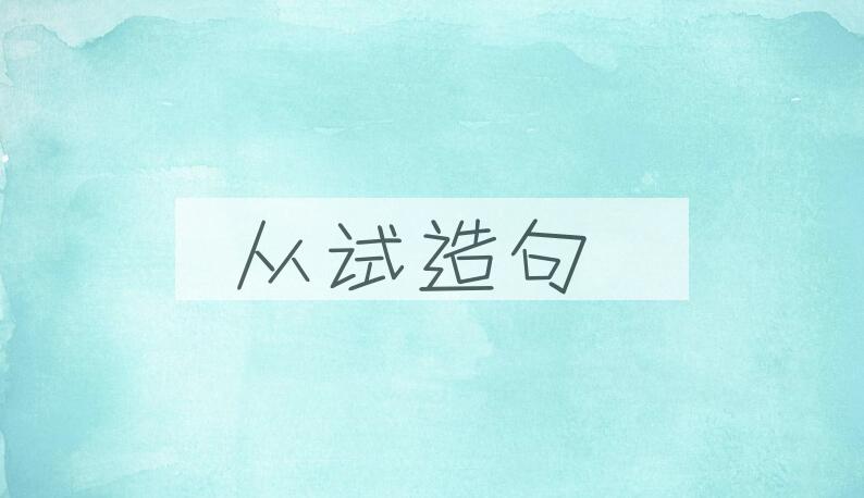 用从试造句