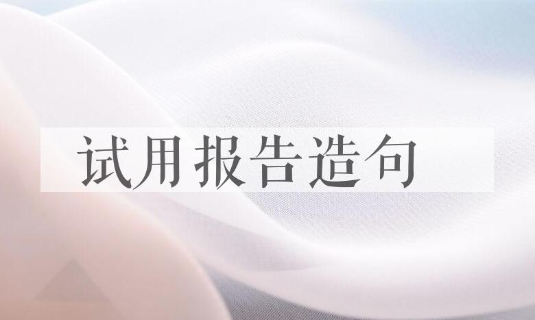 用试用报告造句