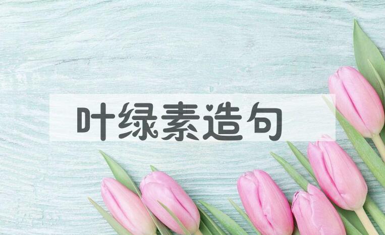 用叶绿素造句