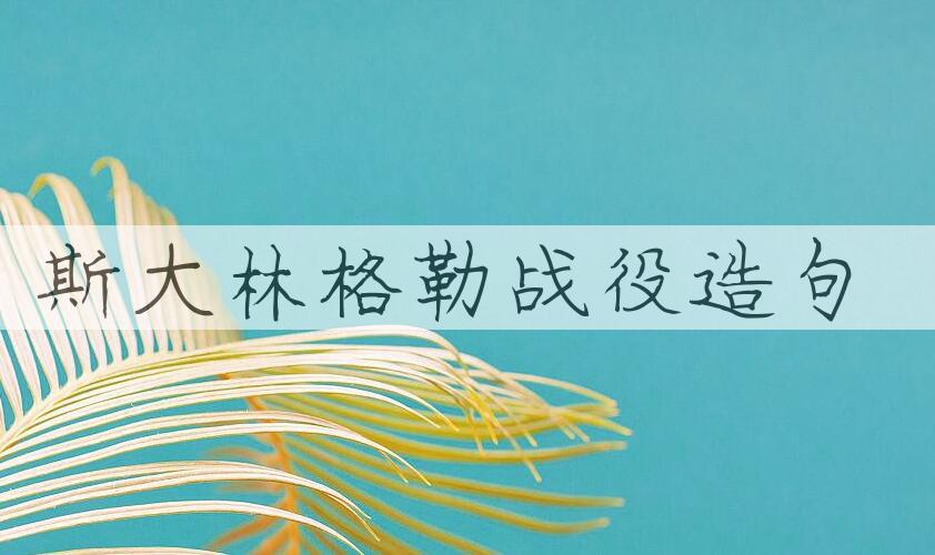 用斯大林格勒战役造句