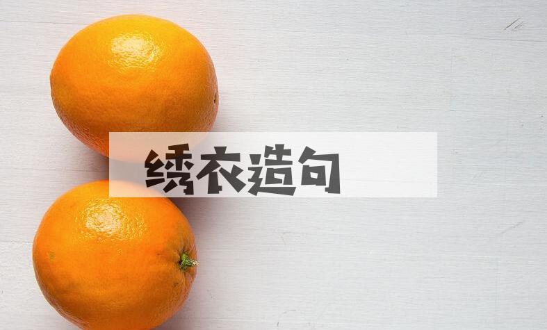 用绣衣造句
