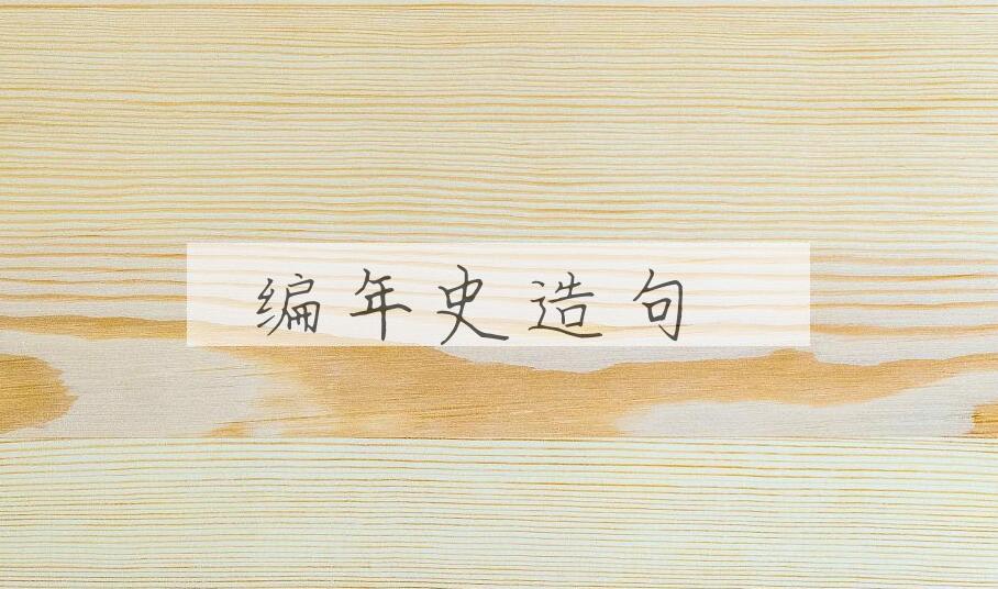 用编年史造句