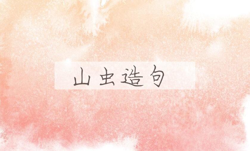 用山虫造句
