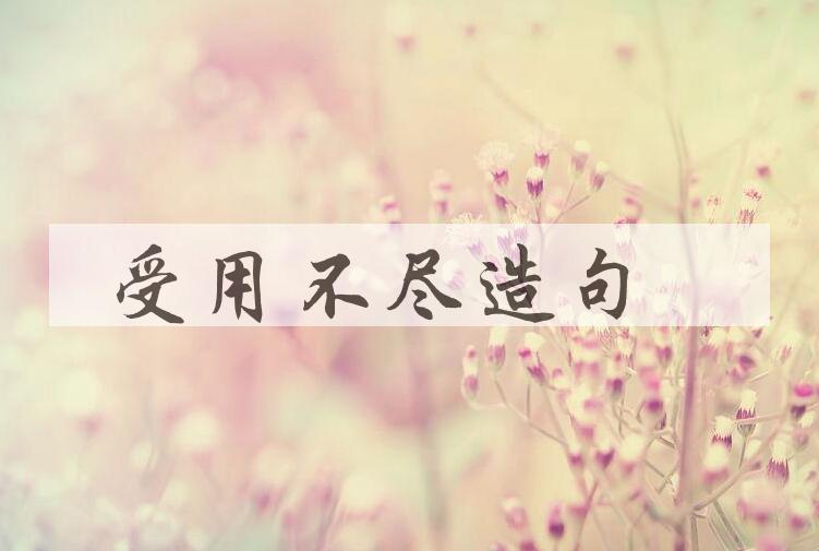 用受用不尽造句