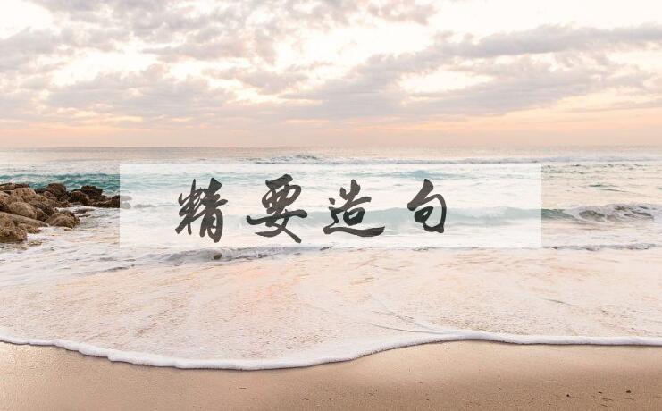 用精要造句