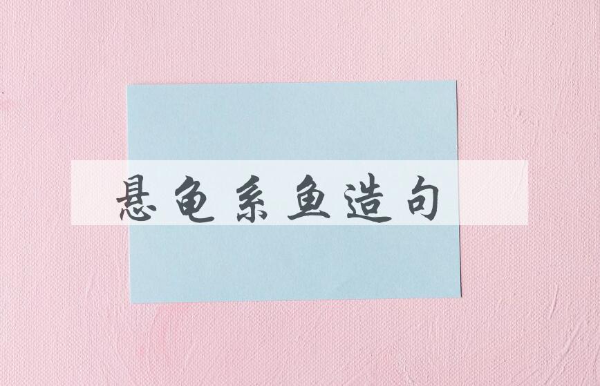 用悬龟系鱼造句