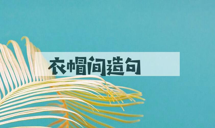 用衣帽间造句