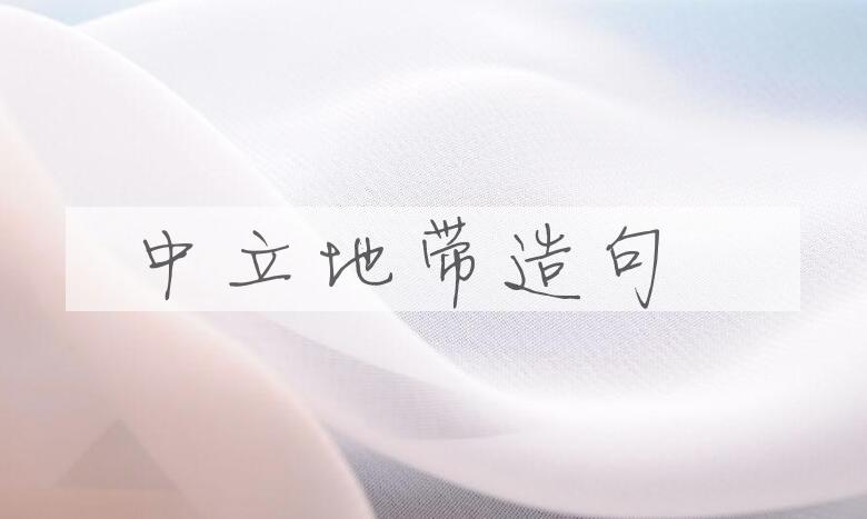 用中立地带造句