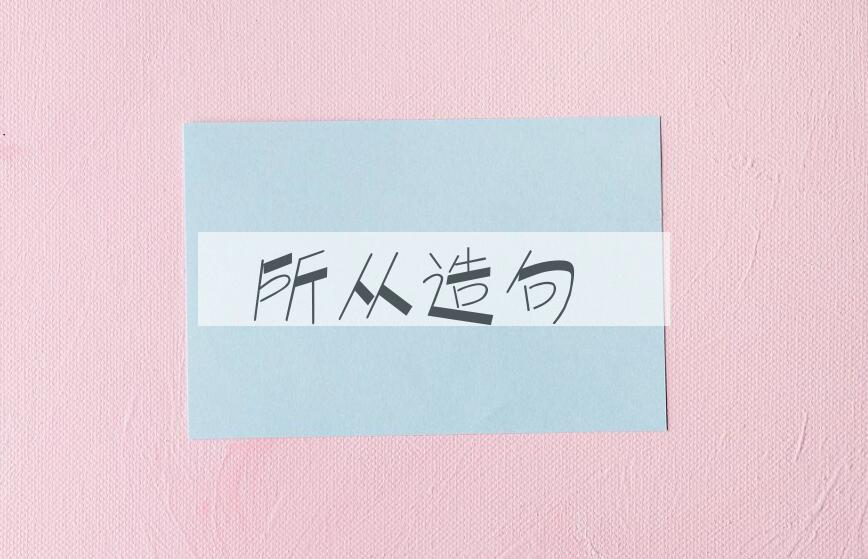 用所从造句