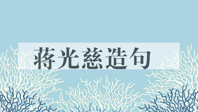 用蒋光慈(1901-1931)造句