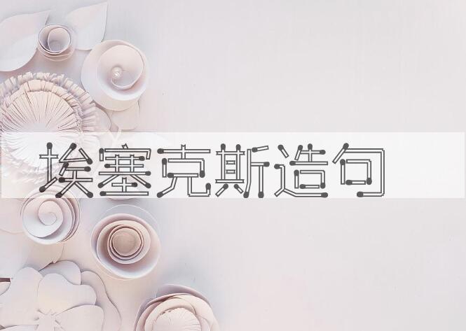 用埃塞克斯造句
